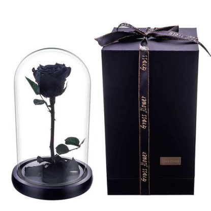 JaneDream Exquisite Preserved Fresh Rose with Wooden Stand, Glass Cover in Gift Box