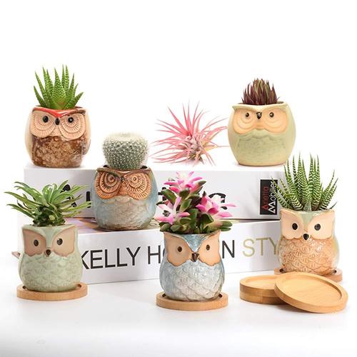 gift for gardening lovers potaroma owl ceramics planters pots