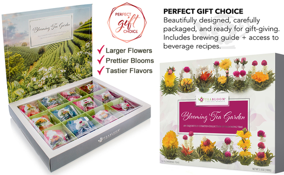 Teabloom Flowering Tea Assortment Collection 12-piece Gift Set 