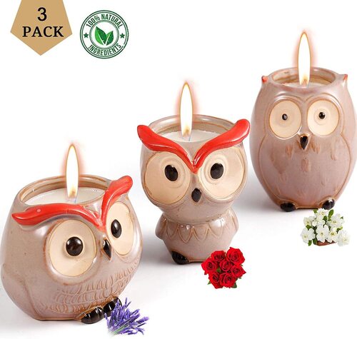 Hsuner 3 pcs Pure Soy Wax Scented Owl Shape Candles 