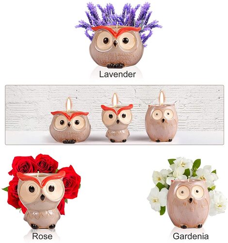 Owl Lovers Gift Idea by Hsuner