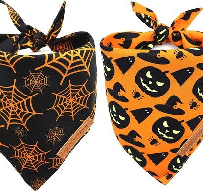Realeaf 2 pcs Halloween Pattern Pumpkin and Spider Web Dog Bandanas