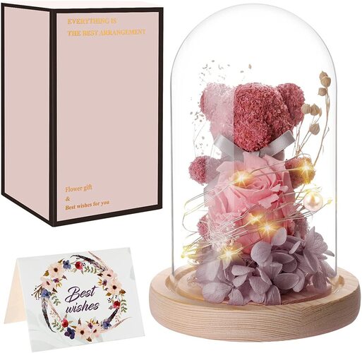 Beautiful Glass Dome with Pink Preserved Rose and Moss Bear Special Gift for Her