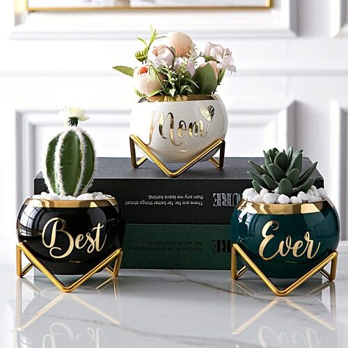 Mothers Day Gift Succulent Pots